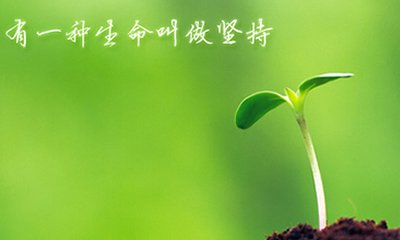 坚持1.jpg