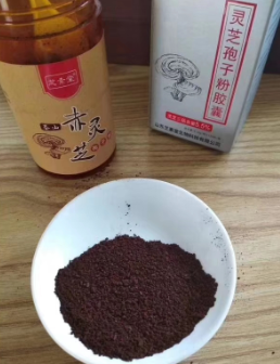 正宗灵芝孢子粉作用好不好？