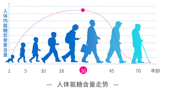 氨糖的作用和功效知道终身受益！