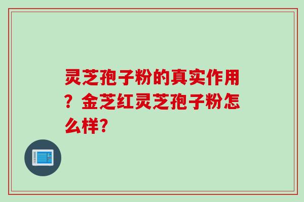 灵芝孢子粉的真实作用？金芝红灵芝孢子粉怎么样？
