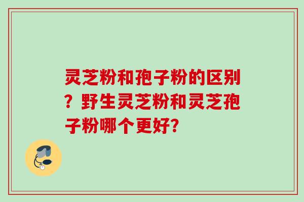 灵芝粉和孢子粉的区别？野生灵芝粉和灵芝孢子粉哪个更好？