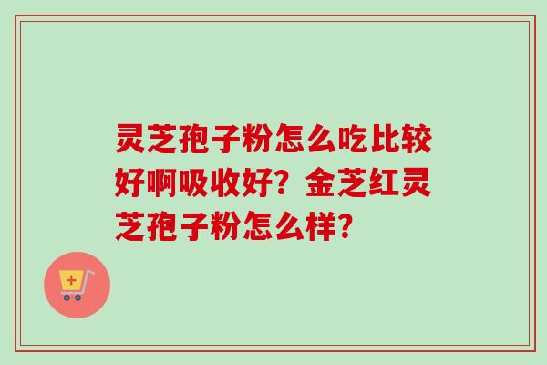 灵芝孢子粉怎么吃比较好啊吸收好？金芝红灵芝孢子粉怎么样？