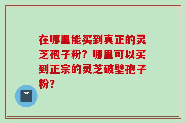 在哪里能买到真正的灵芝孢子粉？哪里可以买到正宗的灵芝破壁孢子粉？