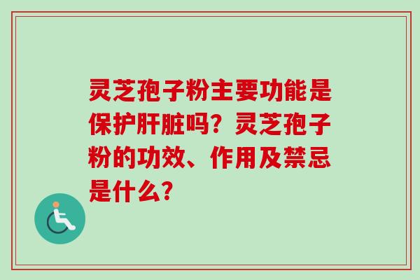 灵芝孢子粉主要功能是保护肝脏吗？灵芝孢子粉的功效、作用及禁忌是什么？