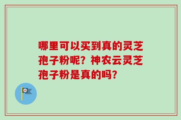 哪里可以买到真的灵芝孢子粉呢？神农云灵芝孢子粉是真的吗？