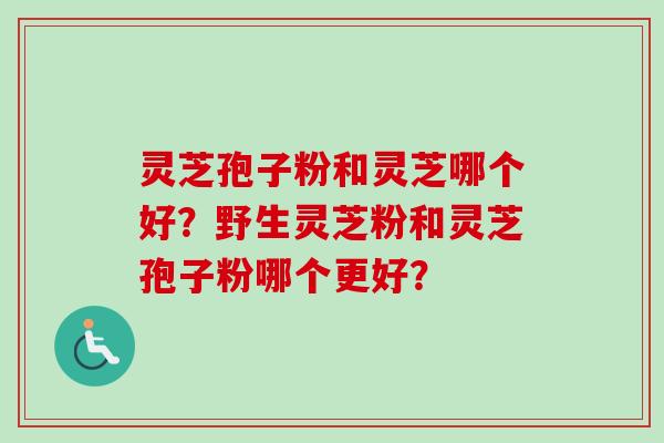 灵芝孢子粉和灵芝哪个好？野生灵芝粉和灵芝孢子粉哪个更好？