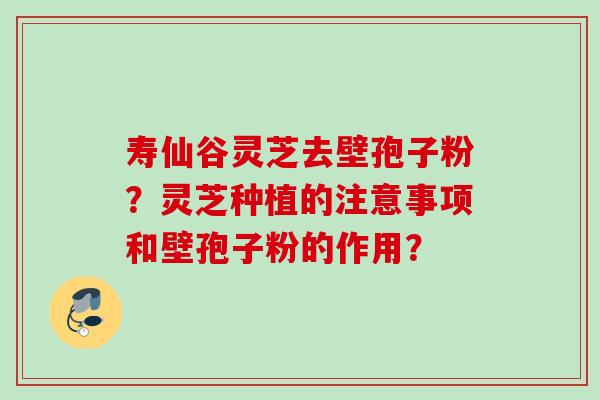 寿仙谷灵芝去壁孢子粉？灵芝种植的注意事项和壁孢子粉的作用？