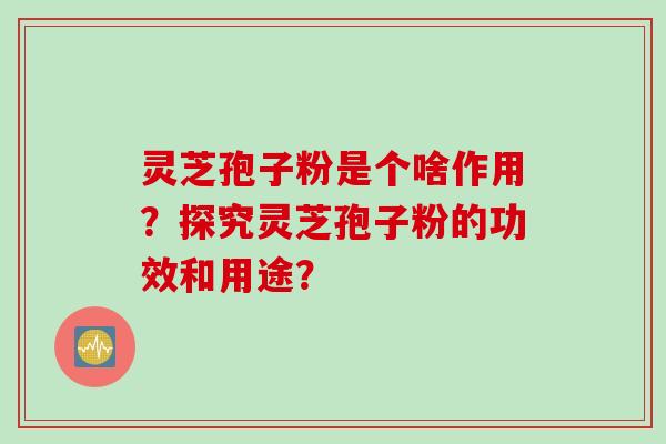 灵芝孢子粉是个啥作用？探究灵芝孢子粉的功效和用途？