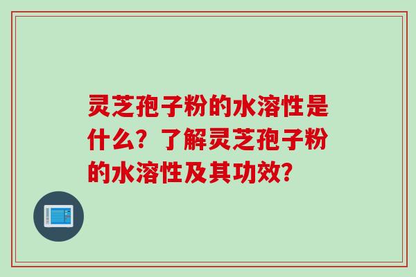 灵芝孢子粉的水溶性是什么？了解灵芝孢子粉的水溶性及其功效？