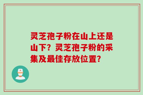 灵芝孢子粉在山上还是山下？灵芝孢子粉的采集及佳存放位置？