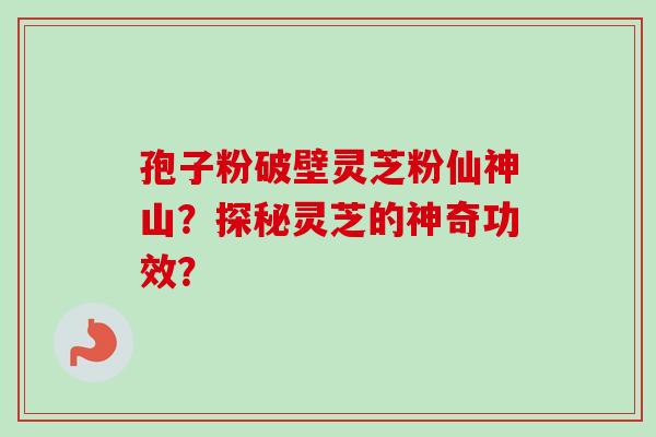 孢子粉破壁灵芝粉仙神山？探秘灵芝的神奇功效？