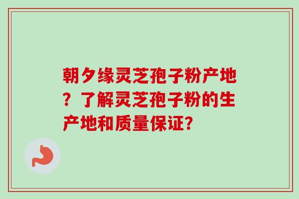 朝夕缘灵芝孢子粉产地？了解灵芝孢子粉的生产地和质量保证？