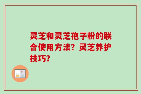 灵芝和灵芝孢子粉的联合使用方法？灵芝养护技巧？