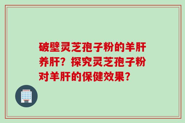 破壁灵芝孢子粉的羊肝养肝？探究灵芝孢子粉对羊肝的保健效果？