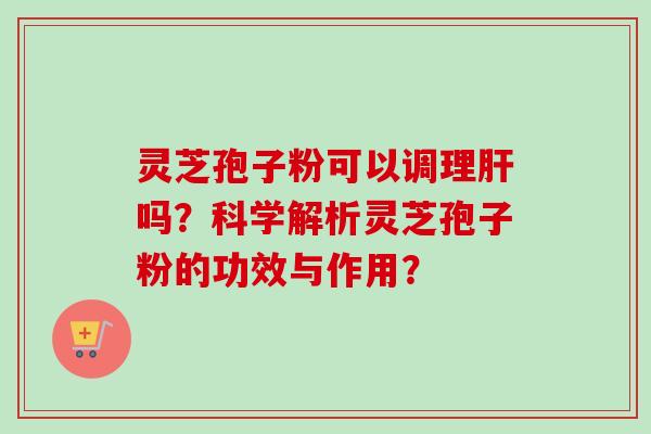 灵芝孢子粉可以调理肝吗？科学解析灵芝孢子粉的功效与作用？