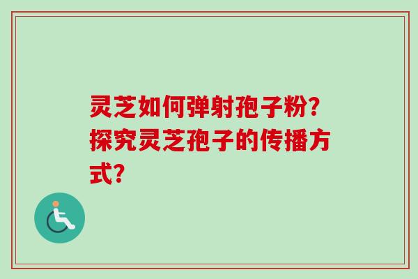 灵芝如何弹射孢子粉？探究灵芝孢子的传播方式？