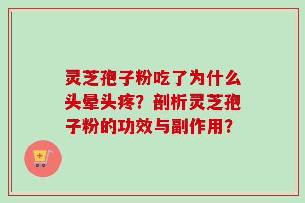 灵芝孢子粉吃了为什么头晕头疼？剖析灵芝孢子粉的功效与副作用？