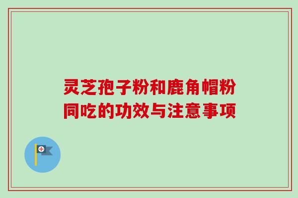 灵芝孢子粉和鹿角帽粉同吃的功效与注意事项