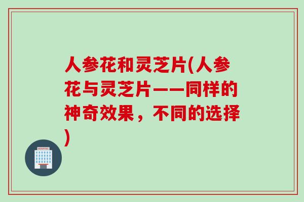 人参花和灵芝片(人参花与灵芝片——同样的神奇效果，不同的选择)