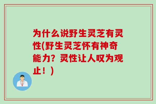 为什么说野生灵芝有灵性(野生灵芝怀有神奇能力？灵性让人叹为观止！)