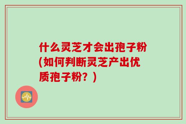 什么灵芝才会出孢子粉(如何判断灵芝产出优质孢子粉？)