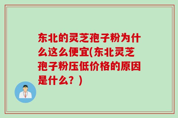 东北的灵芝孢子粉为什么这么便宜(东北灵芝孢子粉压低价格的原因是什么？)