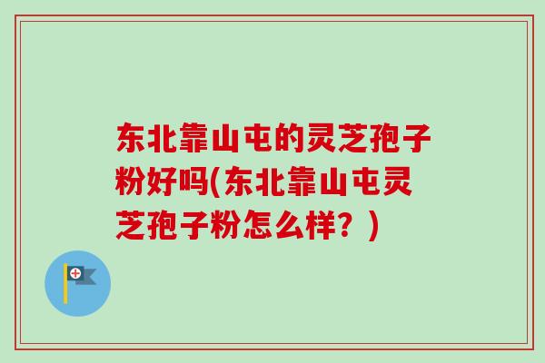 东北靠山屯的灵芝孢子粉好吗(东北靠山屯灵芝孢子粉怎么样？)