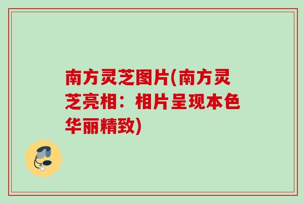 南方灵芝图片(南方灵芝亮相：相片呈现本色华丽精致)