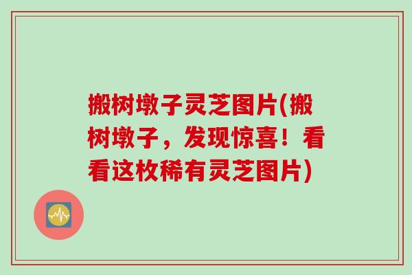 搬树墩子灵芝图片(搬树墩子，发现惊喜！看看这枚稀有灵芝图片)