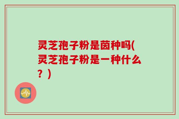 灵芝孢子粉是茵种吗(灵芝孢子粉是一种什么？)