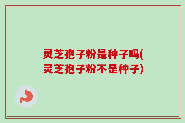 灵芝孢子粉是种子吗(灵芝孢子粉不是种子)