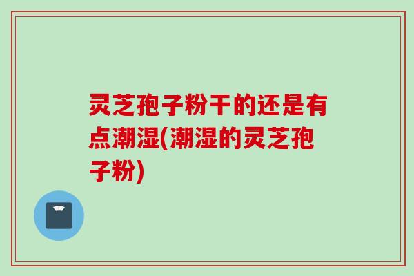 灵芝孢子粉干的还是有点潮湿(潮湿的灵芝孢子粉)