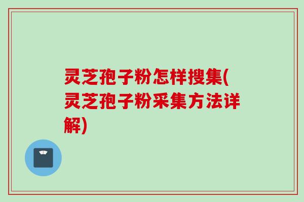 灵芝孢子粉怎样搜集(灵芝孢子粉采集方法详解)