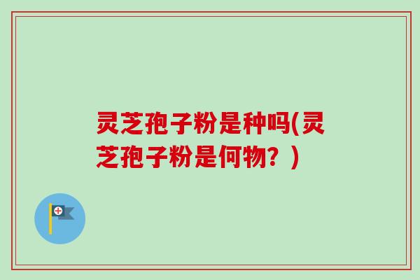 灵芝孢子粉是种吗(灵芝孢子粉是何物？)