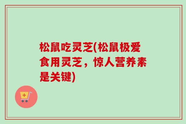 松鼠吃灵芝(松鼠极爱食用灵芝，惊人营养素是关键)