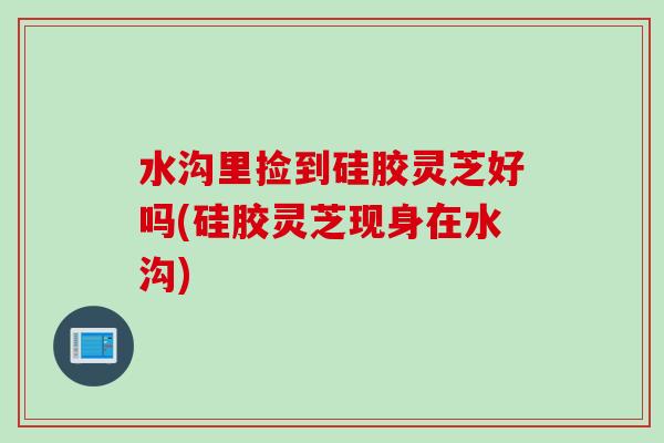 水沟里捡到硅胶灵芝好吗(硅胶灵芝现身在水沟)