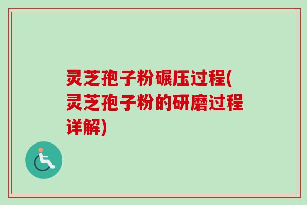 灵芝孢子粉碾压过程(灵芝孢子粉的研磨过程详解)