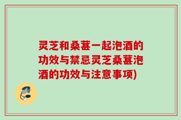 灵芝和桑葚一起泡酒的功效与禁忌灵芝桑葚泡酒的功效与注意事项)