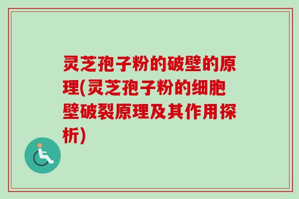 灵芝孢子粉的破壁的原理(灵芝孢子粉的细胞壁破裂原理及其作用探析)