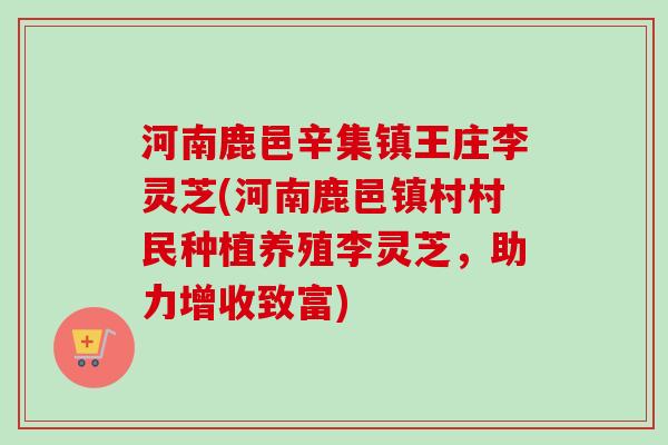 河南鹿邑辛集镇王庄李灵芝(河南鹿邑镇村村民种植养殖李灵芝，助力增收致富)