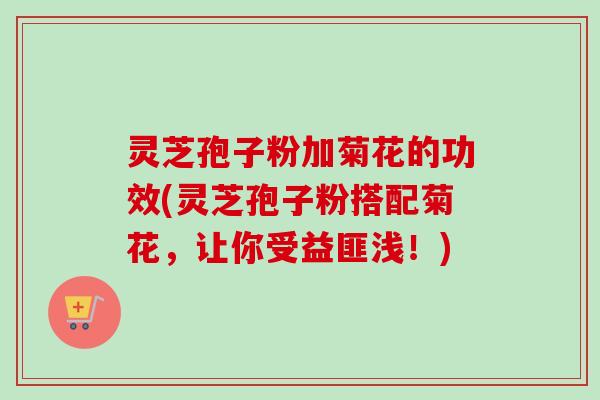灵芝孢子粉加菊花的功效(灵芝孢子粉搭配菊花，让你受益匪浅！)