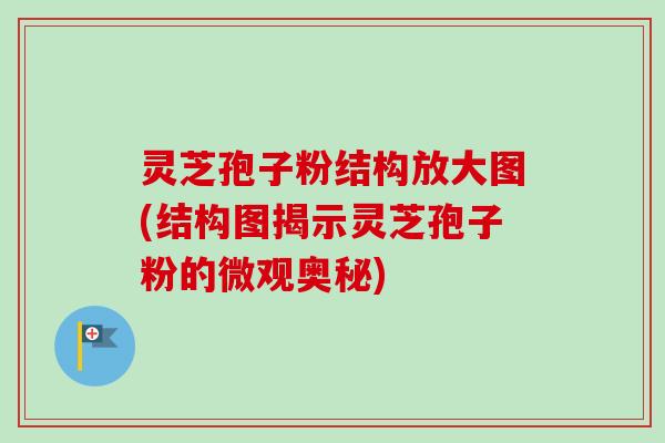 灵芝孢子粉结构放大图(结构图揭示灵芝孢子粉的微观奥秘)