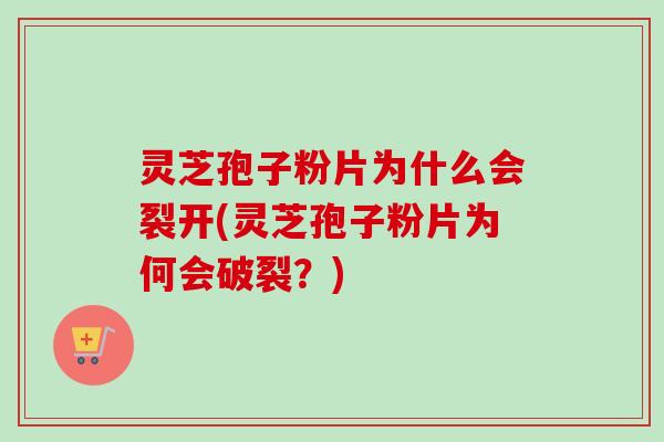 灵芝孢子粉片为什么会裂开(灵芝孢子粉片为何会破裂？)