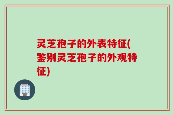 灵芝孢子的外表特征(鉴别灵芝孢子的外观特征)