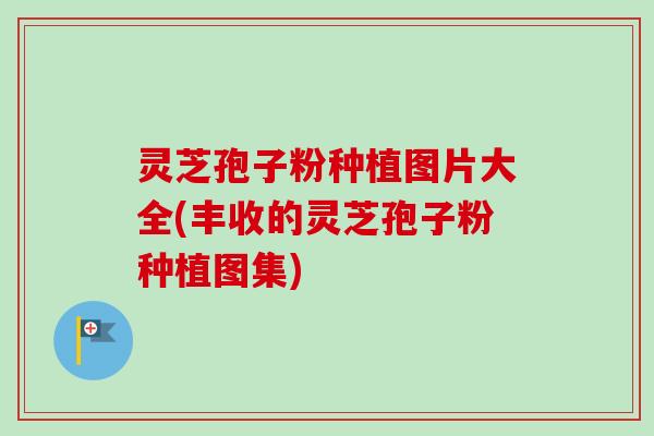 灵芝孢子粉种植图片大全(丰收的灵芝孢子粉种植图集)