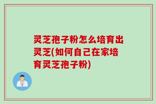 灵芝孢子粉怎么培育出灵芝(如何自己在家培育灵芝孢子粉)