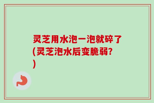 灵芝用水泡一泡就碎了(灵芝泡水后变脆弱？)