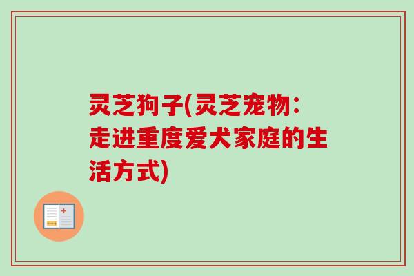 灵芝狗子(灵芝宠物：走进重度爱犬家庭的生活方式)