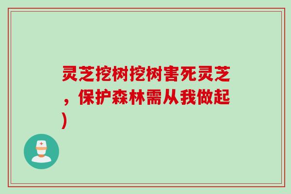 灵芝挖树挖树害死灵芝，保护森林需从我做起)