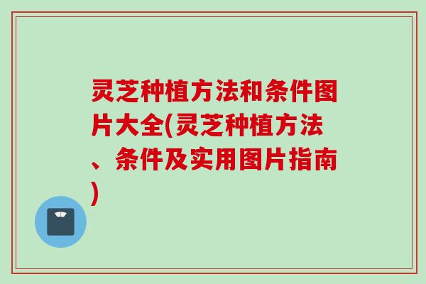 灵芝种植方法和条件图片大全(灵芝种植方法、条件及实用图片指南)